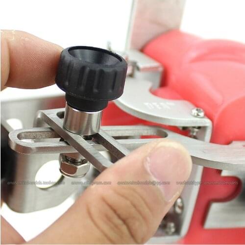 CMAM/12560 Dental- Phantom Head, Human Oral Dental Medical Teaching Anatomical Model