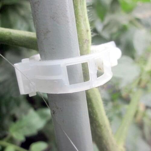 100pcs Tomato Clips Connect Pepper Cucumber Vines to Trellis Twine DIY Home Garden Growing Plant Supplies Wholesale