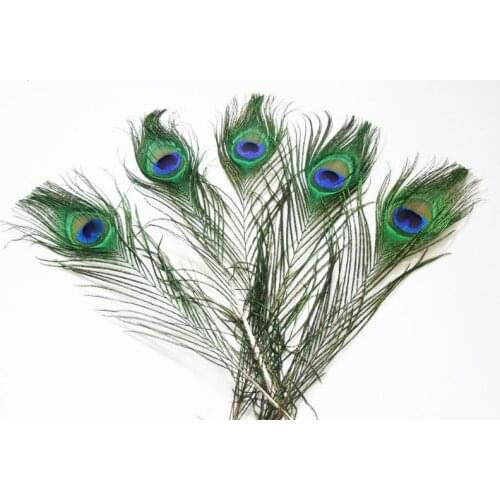50 pcs wholesale free shipping - 8-10" selected individual Peacock Feathers selected high quality