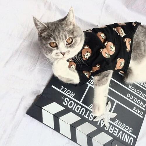 Dog Clothes for Small Dogs Cotton Tshirt for Cat Chihuahua Pet Puppy Clothing for French Bulldog Cat Apparel Summer Tee for Cat