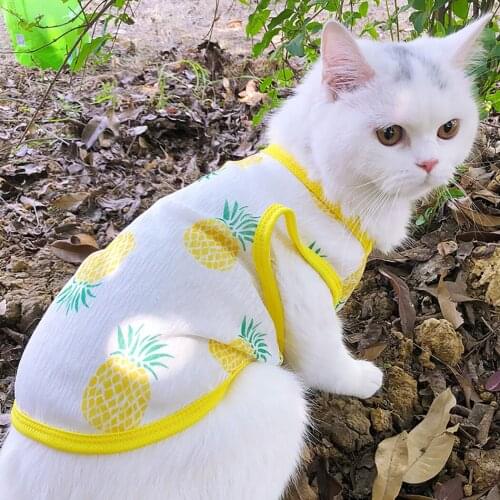 Summer Cat Dog Vest for Small Dogs Cats Breathable Pet Clothes Puppy Cat Tshirt Yorkshire Shih Tzu Shirts Dog Mascota Costume