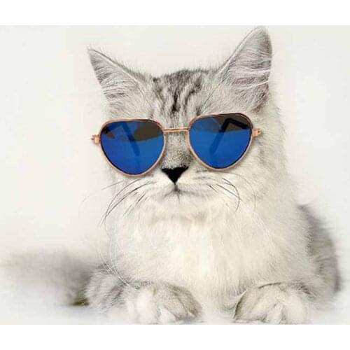 1pc Lovely Pet Cat Glasses Small Dog Glasses Pet Products for Little Dog Cat Eye-Wear Dog Sunglasses Photos Pet Accessories