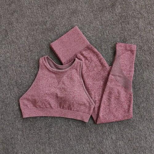 Seamless Yoga Suit Gym Training Tights + Sports Underwear Fitness Yoga Womens Suit Polera Mujer T-shirt Women Camisetas Mujer