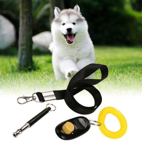 New Solid Pet Trainer Clicker Pet Dog Cat Whistle Training Key Ring and Wrist Strap