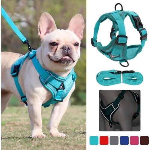 Vest-style Dog and Cat Traction Rope Teddy Small Dog Bichon Chest Strap Puppy Supplies Dog Reflective Leash Dog Chain