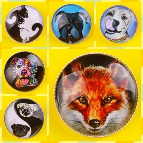 Animals Badge For Clothes Brooch Pins On Jacket Lion Dog Cat Brooch Pin Collar Lapel Badge Punk Dark Jewelry Brooches For Men