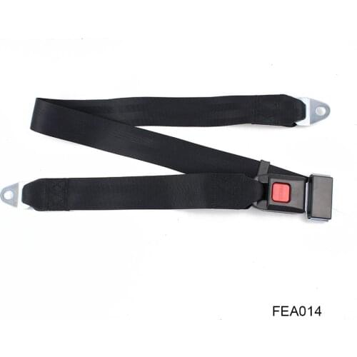 2 Point Non-Standard Static Bus Trucks Safety Seat Belt FEA014