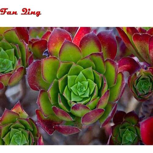 Diamond Embroidery Succulent Home Decoration Diamond Painting Picture Of Rhinestones Diamond Mosaic Picture Beading Hobby