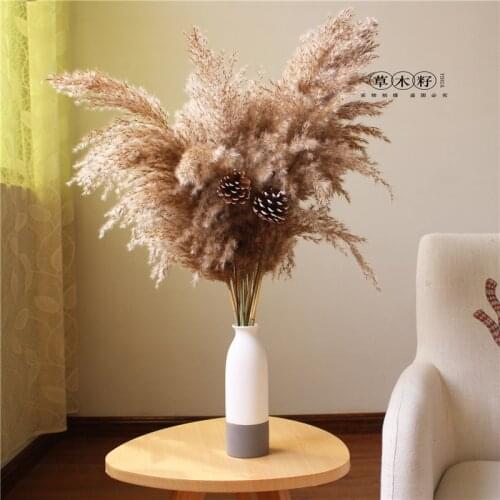 Natural Pampas Grass Wedding Phragmites &Reed Bunch Flowers Dried Reed Christmas Home Wedding Decoration Bouquet