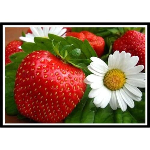 Rose Vase Flower Basket Printed Fabric 11CT Cross-Stitch Patterns DIY Embroidery DMC Threads Sewing Painting Wholesale