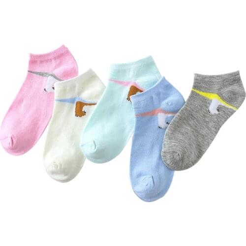 2020 Womens Spring And Summer Thin Section Wild Five-color Simple Girlish Breathable High-grade Cotton Socks