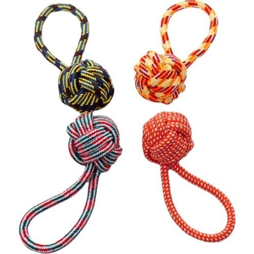 PetApartment Products For Dogs