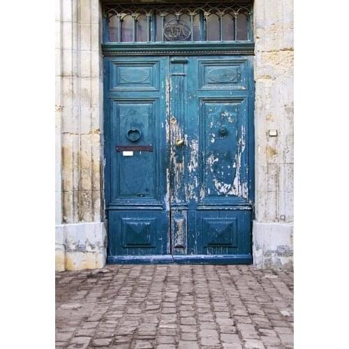 Vinyl Photography Background Computed Printed Vintage Wooden Door Children Backgrounds for Photo Studio F-2597