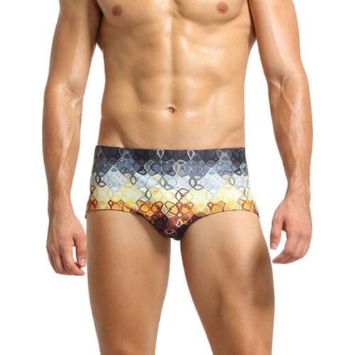Sexy Mens Swimwear Quick Dry Printed Swimming Briefs Gay Low-Rise Swimsuits Fashion Pouch Beach Pool Spa Bathing Panties Seobean