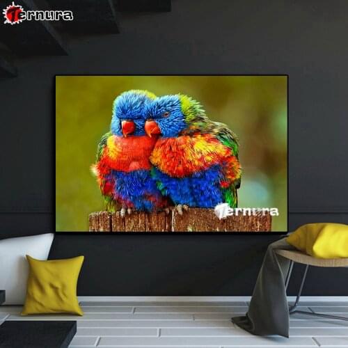 DIY Diamond Painting cross stitch Two colorful parrots full square Drill rhinestone diamond mosaic Animal bird embroidery decor