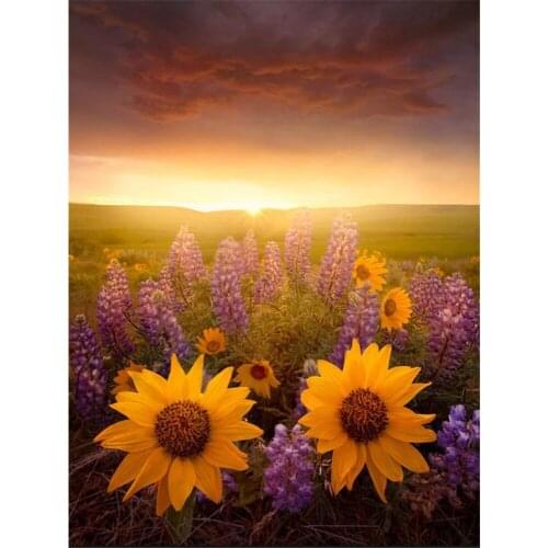Lake Sunrise Flower Boat Printed Canvas 11CT Cross Stitch Embroidery Kit DMC Threads Craft Sewing Hobby Handicraft Needle