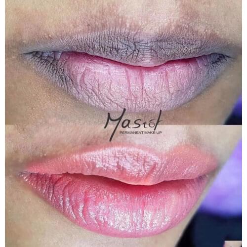 Mastor Permanent Makeup Pigment Ombre Powder Brows Natural Eyebrows Microblading Ink