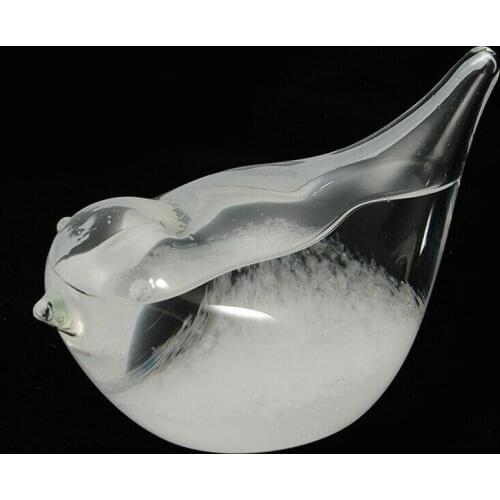 Weather Forecast Glass Water Bottle Base Christmas Table Decoration for Home Office ALI88