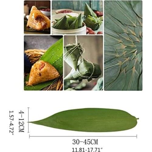 Natural Dried Zongzi Maker Kit Natural Fragrance Bamboo Leaves for Various Purposes and Food Unique Aroma, 100Pcs