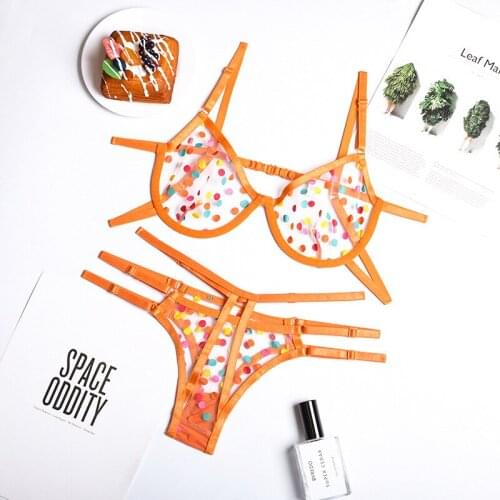 New Summer Dot Print Sensual Lingerie Erotic Transparent Bra and Brief Set Underwear Lace Sexy Outfit Underwire Exotic Sets
