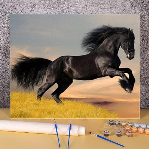 Two Horse Animal Painting By Numbers Kit Acrylic Paints 50*70 Canvas Pictures Wall Decoration Crafts Adults Drawing