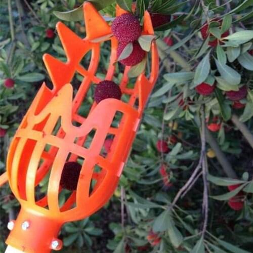 Farm Garden Tools Fruit Picker Head Plastic Gardening Greenhouse Fruits Collection Picking Catcher Device without Handle