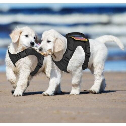 Dog Cloth Tactical Pet Vest Small Dog Cat Harness Military Hunting Shooting Army Training Adjustable Molle Animal Vest
