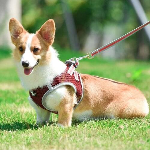 Mesh Dog Harness and Leash with Safe Breathable Reflective Chest Strap Adjustable Pet Vest Harness For Puppy Small Medium Dogs