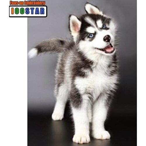Diy,diamond embroidery Husky,dog,5d diamond painting animals full diamond mosaic 3d pictures of rhinestones cross-stitch kits