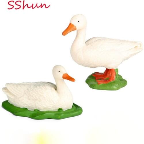 Simulation animal duck model solid static poultry duck mallard mallard children cognitive toys plastic ornaments