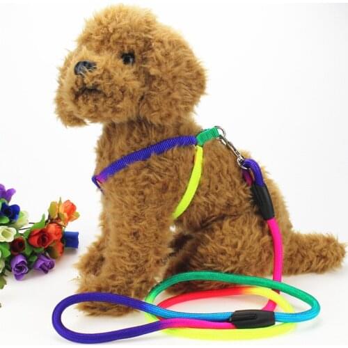 Adjustable Nylon Dog Leash and harness set for Small Dogs Colorful printed Dog Chest Straps Traction rope for Pets Leash Belt