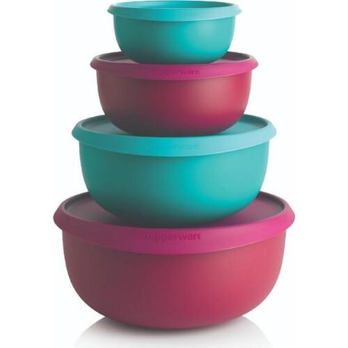 Tupperware Clover Set 4-Piece Storage Box