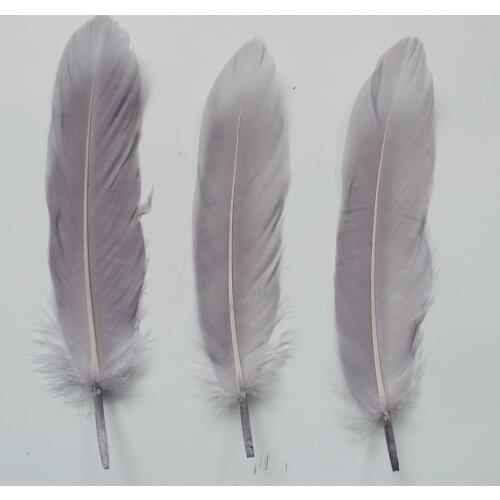Wholesale Hard Pole 1000Pcs Gray Goose Feathers For DIY Crafts Swan Plumes 12-18cm Jewelry Wedding Home Accessories Decoration