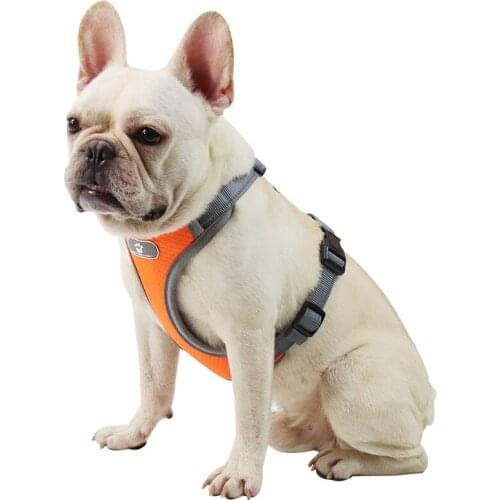 Dog Harness and Leash Set Pet Hand Holding Rope Mesh Breathable Big Dog Chest Strap Vest Reflective Dog Rope Dog Accessories