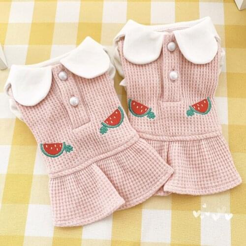 Cat Dress Chihuahua Yorkshrie Terrier Small Dog Clothes Winter Puppy Doggie Costume maltese Pomeranian Poodle Pet Clothing Skirt