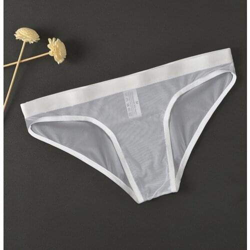 Sexy Mens See-through Briefs Sheer Mesh Pouch Underpants Stretchy Soft Underwear Solid Personal Men Panties Extroic Lingerie
