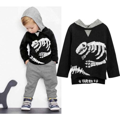 Kid Baby Boy Girl Dinosaur Hoodie Hooded T-shirt Top Clothes Jumper+pants Outfit 1-6 Years