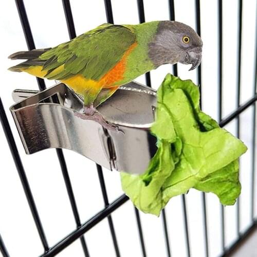 Birds Food Holder Pet Parrot Feeding Fruit Vegtable Clip Feeder Device Pin Clamp Durable Household Supplies Bird Cage