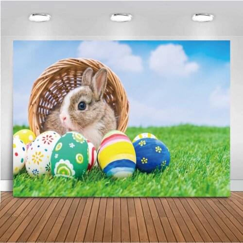 Vinyl Spring Easter Rabbit Meadow Flowers Color Eggs Bunny Children Photo Backdrops Banner Photography Studio Background