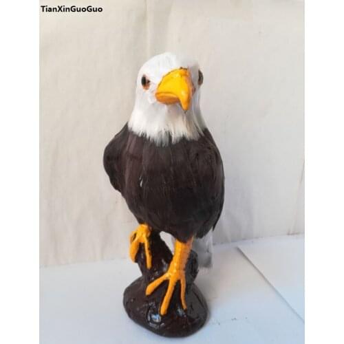About 20x12cm simulation eagle bird plastic&fur eagle hard model craft home decoration toy gift w2104