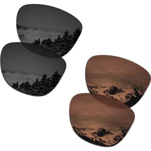 SmartVLT 2 Pairs Polarized Sunglasses Replacement Lenses for Oakley Frogskins Stealth Black and Amber Brown