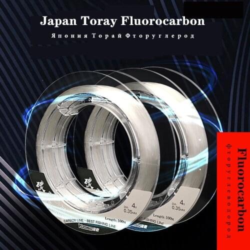 Lizard Fluorocarbon Line