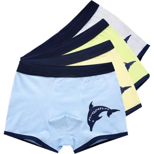 2pcs/Lot Kids Boys Underwear Cartoon Children Panties Underpants Shorts 2-16Years