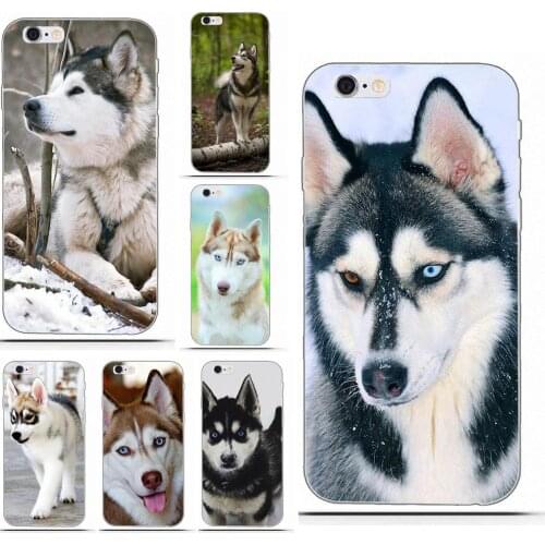Wexoeq Siberian Husky For Galaxy Alpha Core Prime Note 4 5 8 S3 S4 S5 S6 S7 S8 S9 mini edge Plus Soft Phone