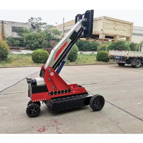 Mini Electric Remote Control Forklift For Sale