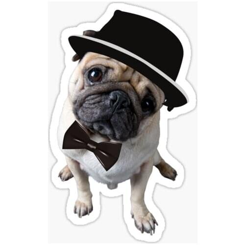 Аксессуары для экстерьера автомобиля TSC China At AliExpress