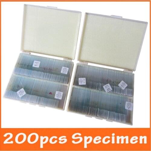 200pcs Professional Lab Laboratory Plant Animal Insect Specimen Glass Prepared Microscope Slides for Biological Microscope