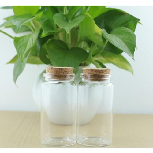 2 pcs/lot 47*90mm 100ml Glass Bottle Glass Jars Test tube Candy Bottles spice Containers Vials DIY Craft