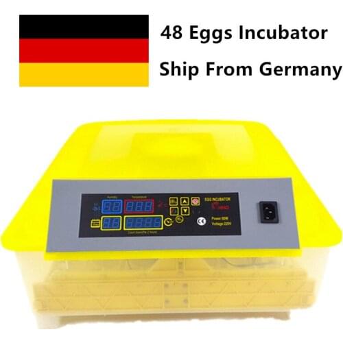 220V Mini Egg Incubator 48 Eggs Circulation Duct Automatic Thermostat High Hatching Rate Incubator For Chicken Duck