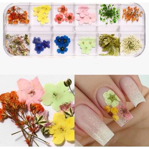24pcs Dried Flower Nail Decoration Natural Flower Leaf Sticker 3D Japanese Nail Art Creative Design 12 Grid Box Nail Accessories